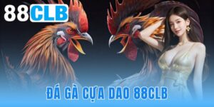 Đá Gà Cựa Dao 88CLB